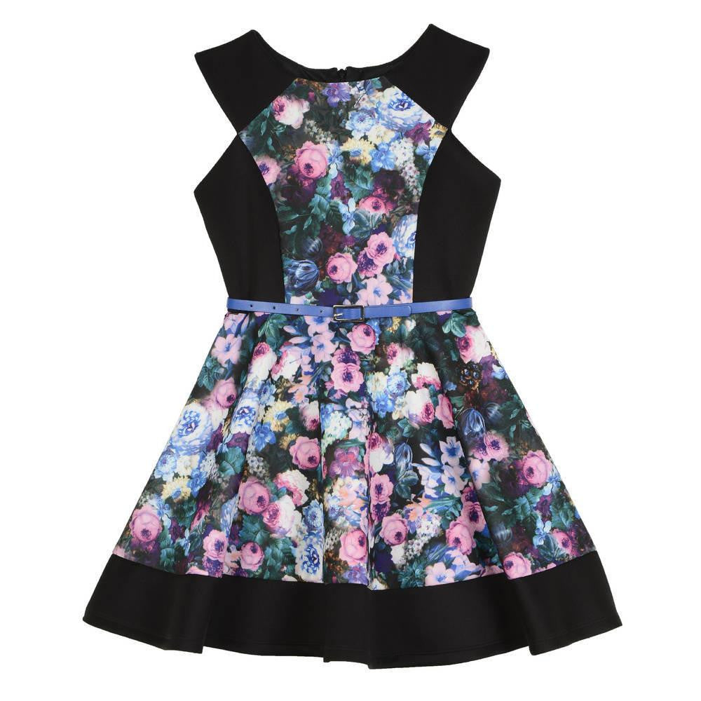 Dress - Alyssa Floral Fit & Flare Dress