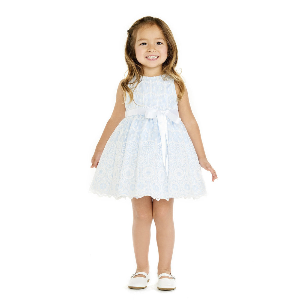 Dress - Amaya Baby Blue Embroidered Dress