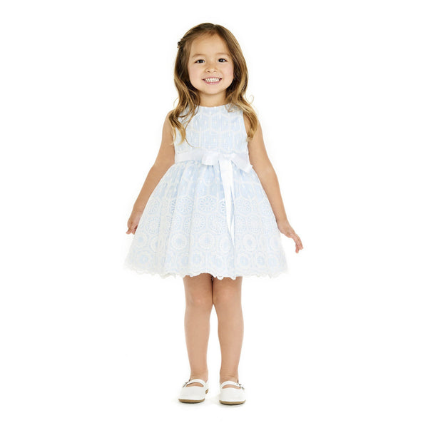 Dress - Amaya Baby Blue Embroidered Dress