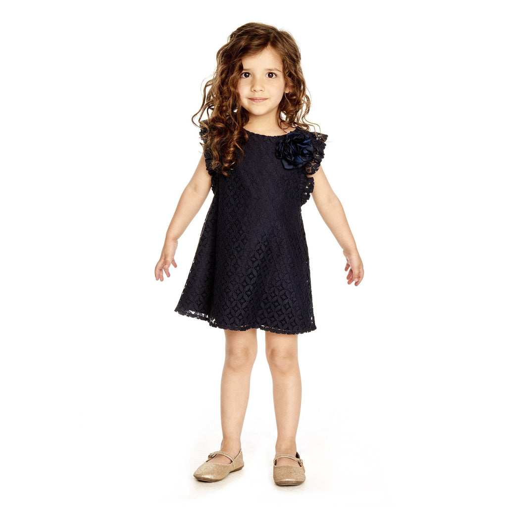 Dress - Ashlin Navy Lace Shift Dress