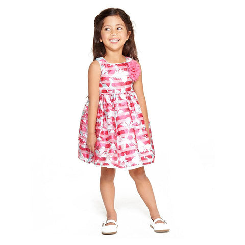 Carolina Floral Stripe Dress