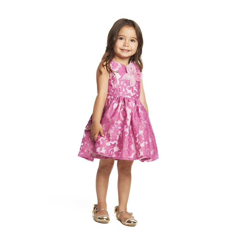 Dress - Danielle Embriodered Organza Dress