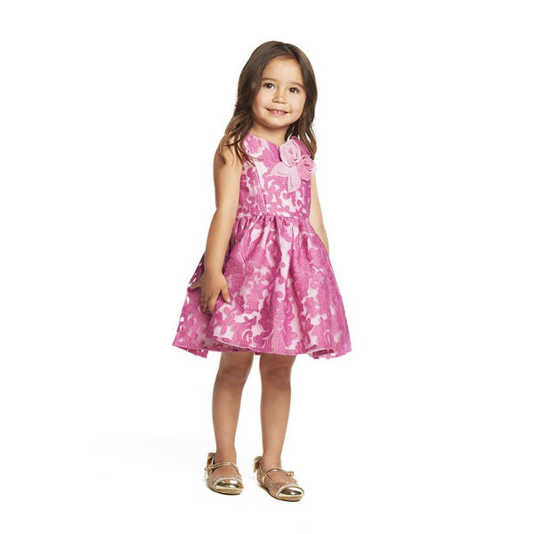 Dress - Danielle Embriodered Organza Dress