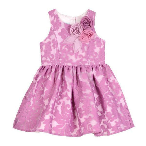 Danielle Embriodered Organza Dress