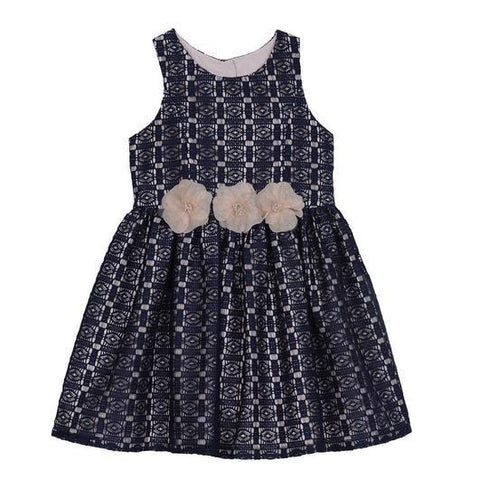 Danielle Navy Lace Dress