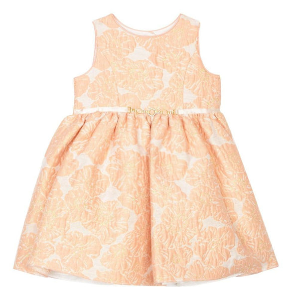 Dress - Danielle Peach Brocade Dress