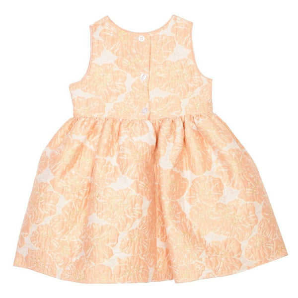 Dress - Danielle Peach Brocade Dress