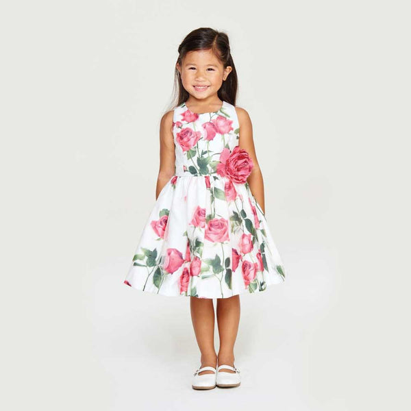 Dress - Danielle Pink Rose Dress
