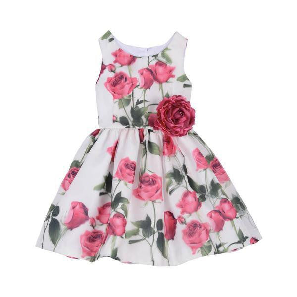 Dress - Danielle Pink Rose Dress