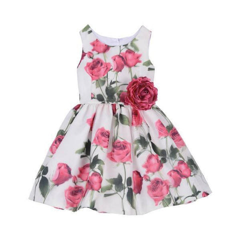 Danielle Pink Rose Dress