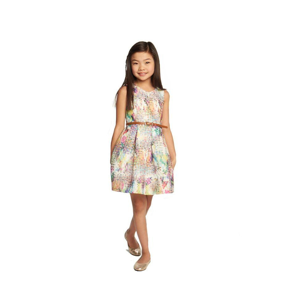 Dress - Kristin Warp Print Dress