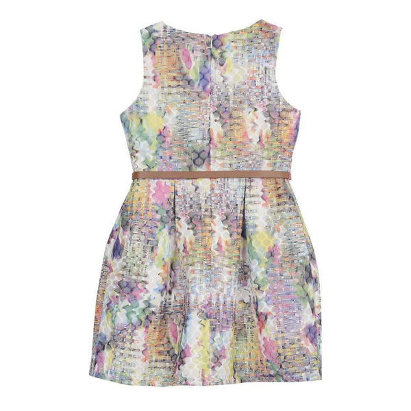 Dress - Kristin Warp Print Dress
