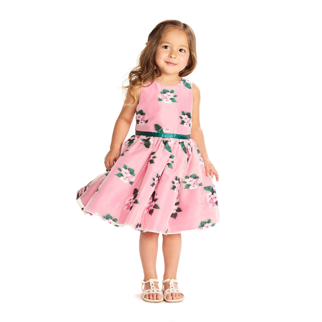 Dress - Lucy Pink Floral Jacquard Dress
