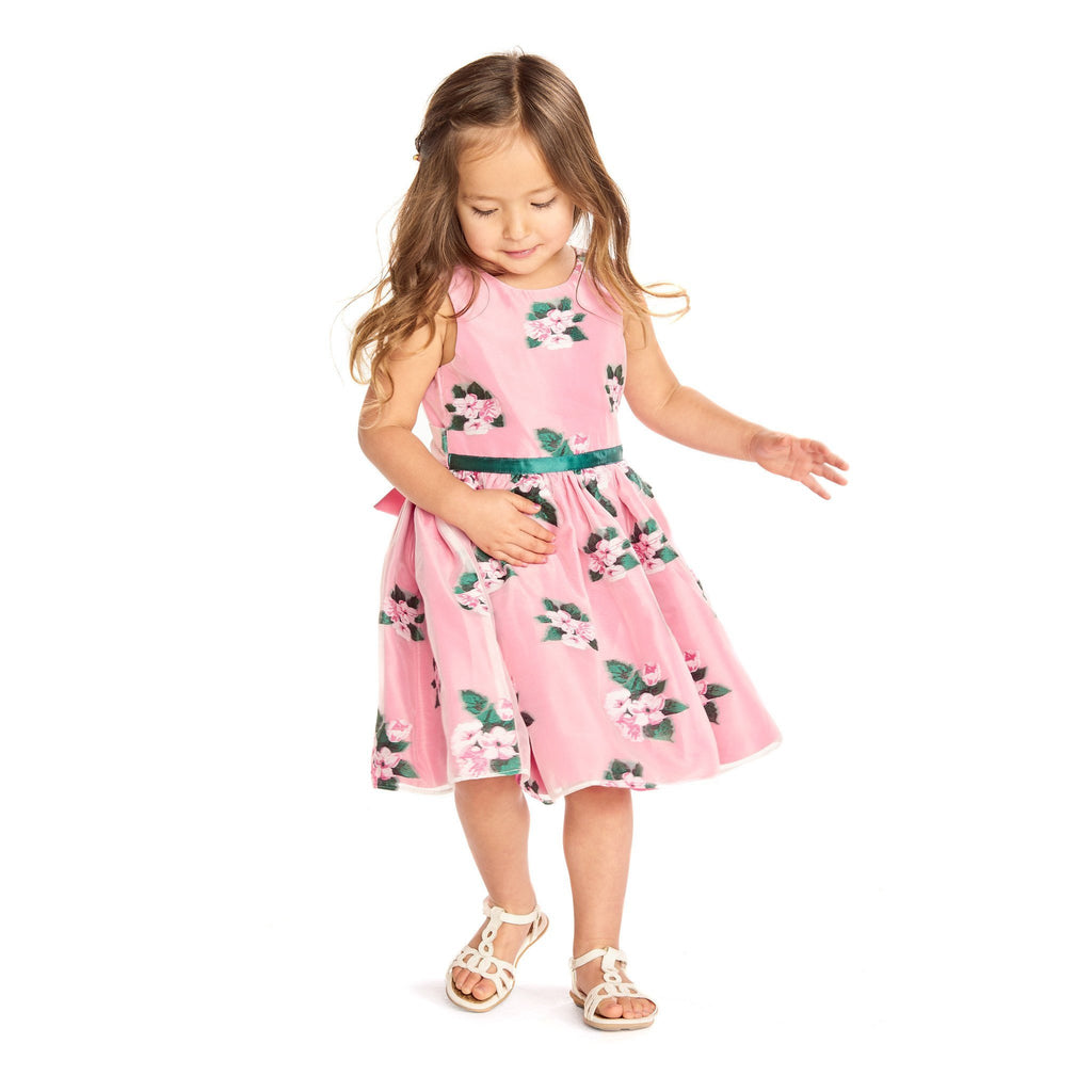 Dress - Lucy Pink Floral Jacquard Dress