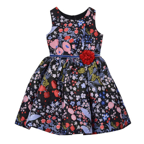 Lucy Poppy Brocade Dress