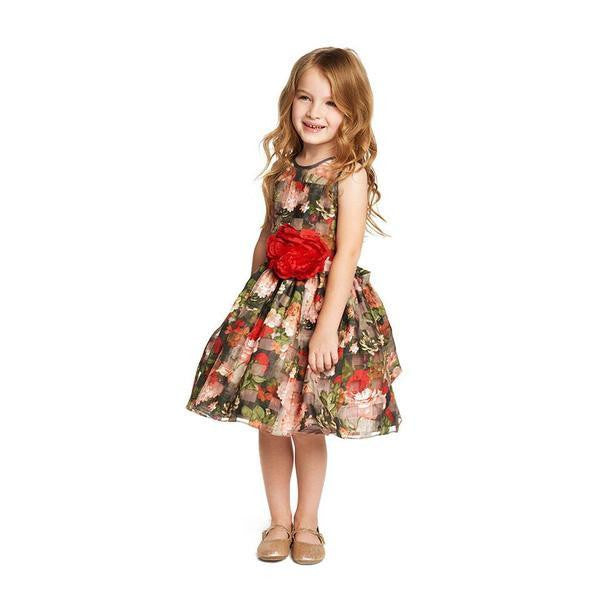 Dress - Mia Rose Dress