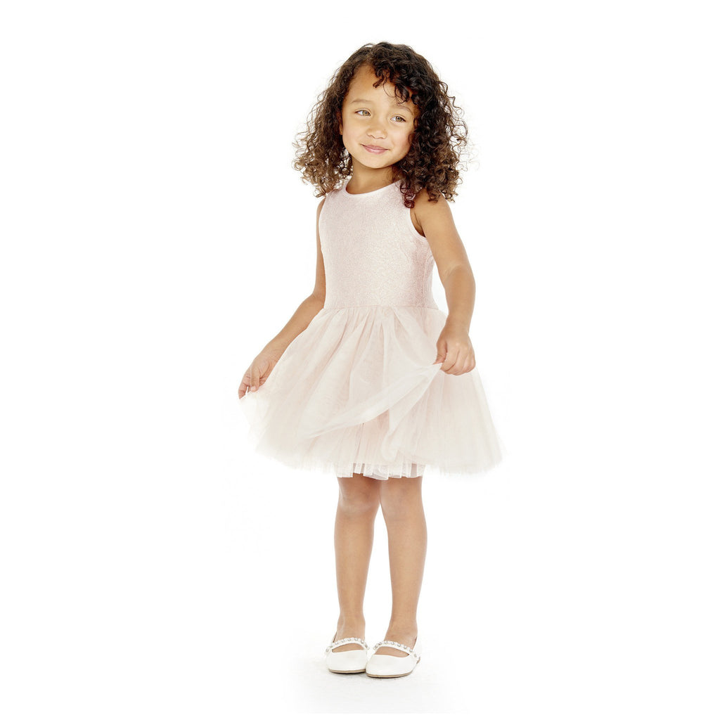 Dress - Seeta Blush Lace Tutu Dress
