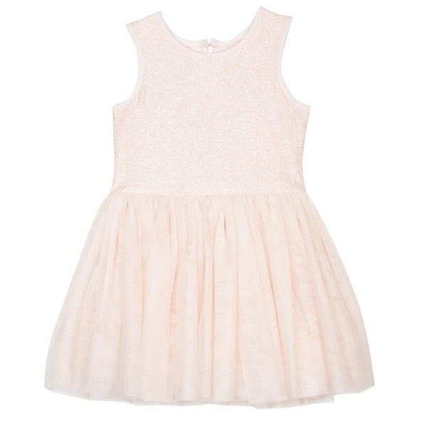 Dress - Seeta Blush Lace Tutu Dress