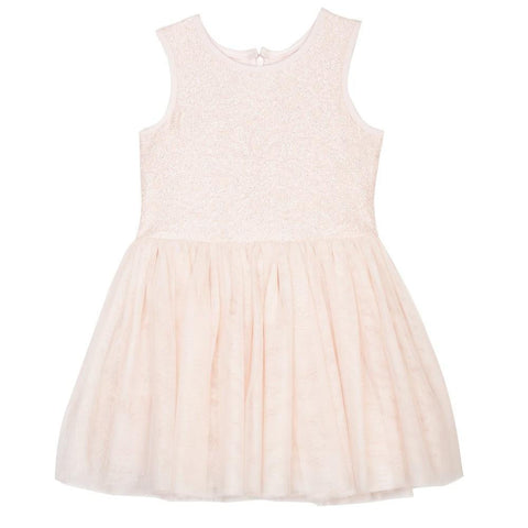 Seeta Blush Lace Tutu Dress