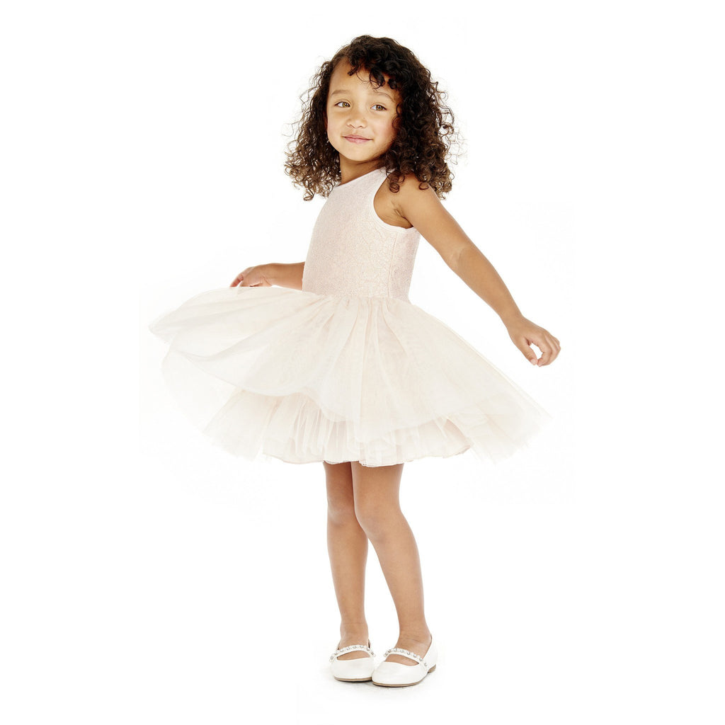 Dress - Seeta Blush Lace Tutu Dress