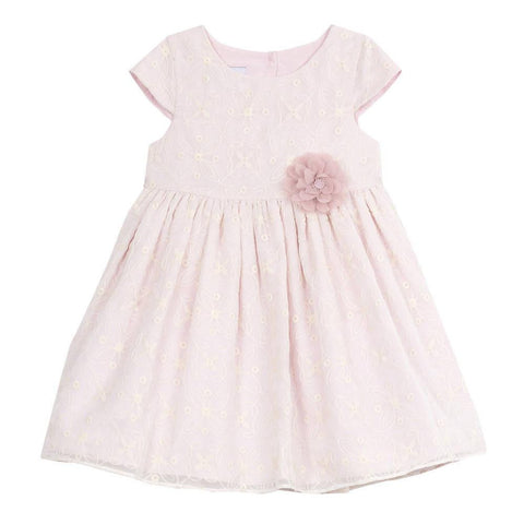 Soledad Blush Embroidered Dress