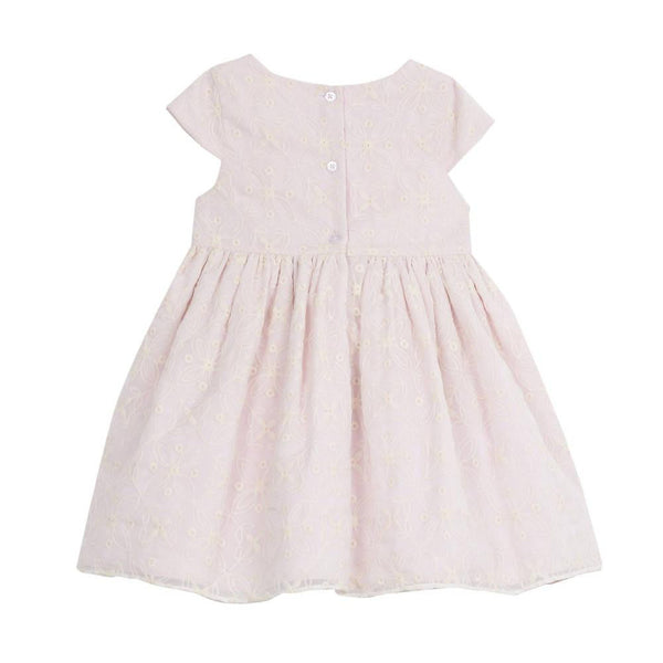 Dress - Soledad Blush Embroidered Dress