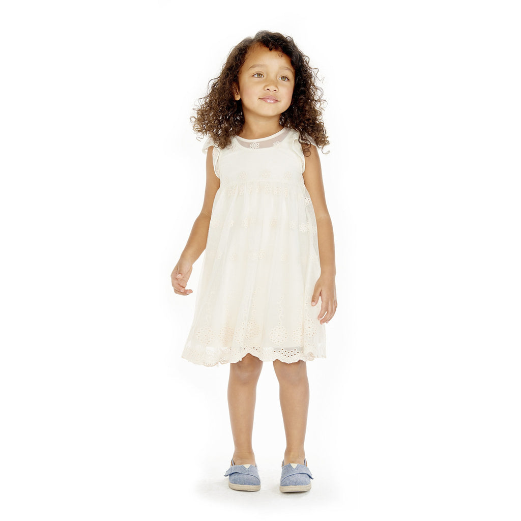 Dress - Susannah Ivory Embroidered Mesh Dress