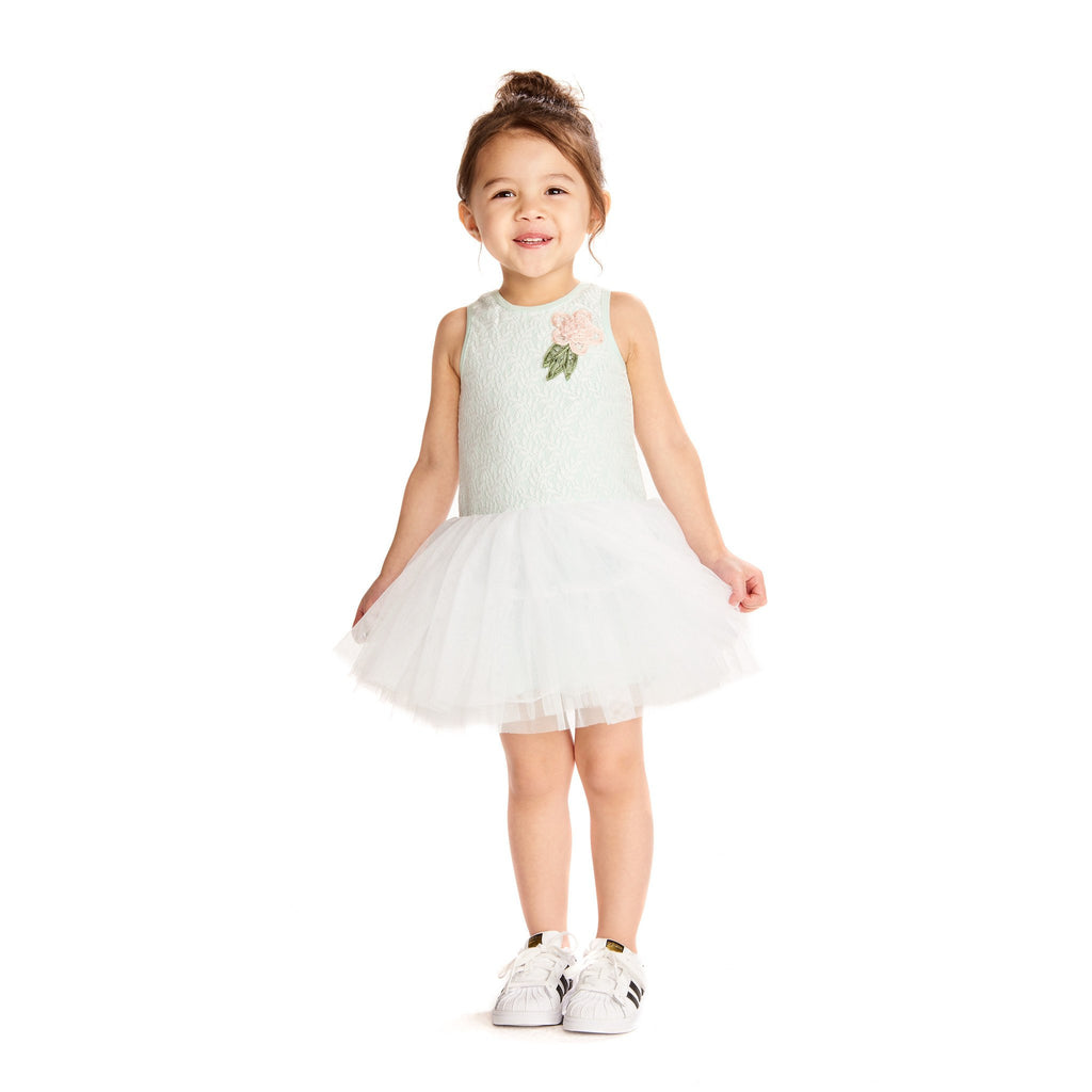 Dress - Tamara Mint Lace Tutu Dress