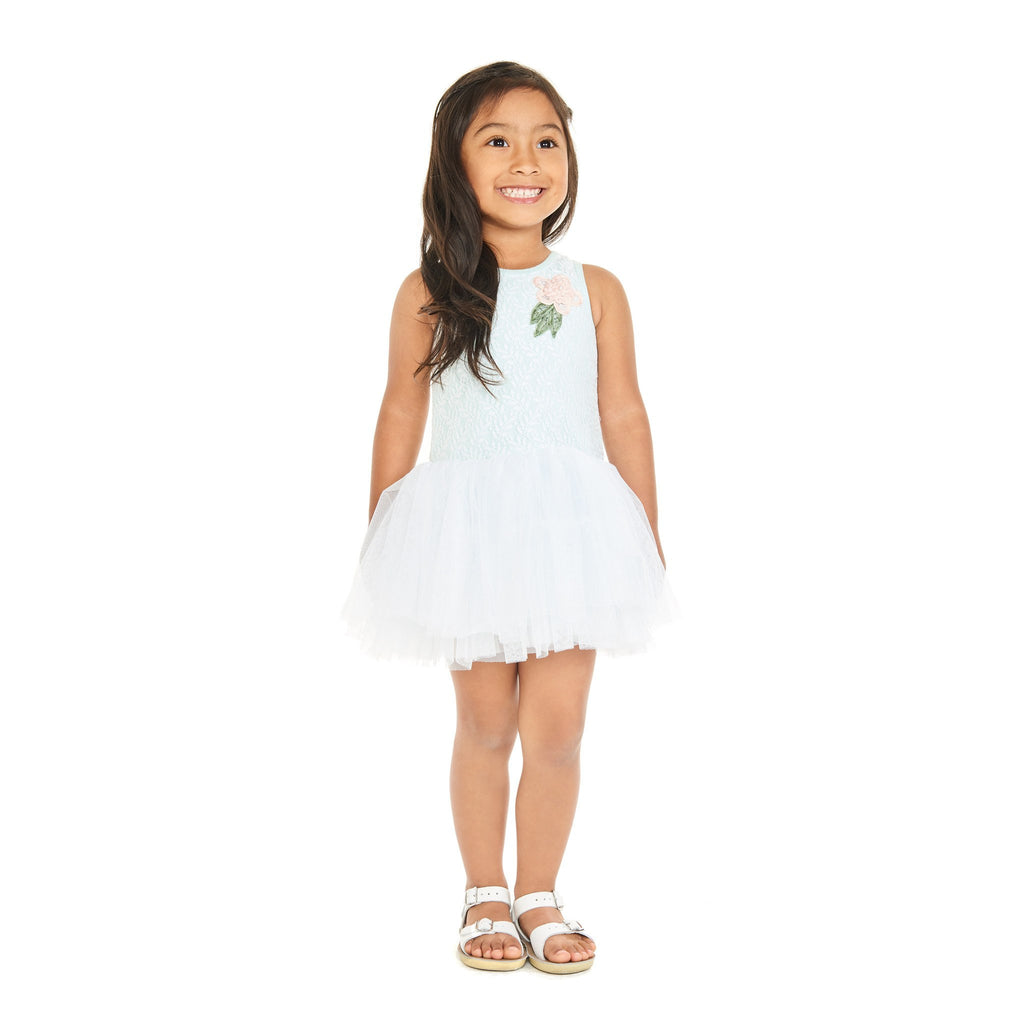 Dress - Tamara Mint Lace Tutu Dress