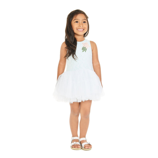 Dress - Tamara Mint Lace Tutu Dress