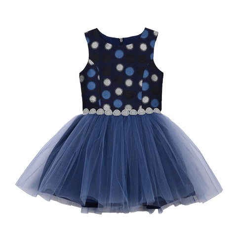 Tanya Navy and Silver Dress