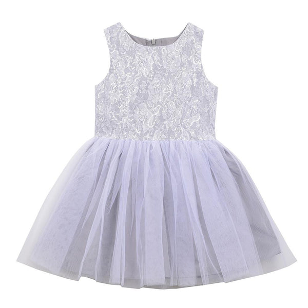 Dress - Tanya Silver Lace Dress